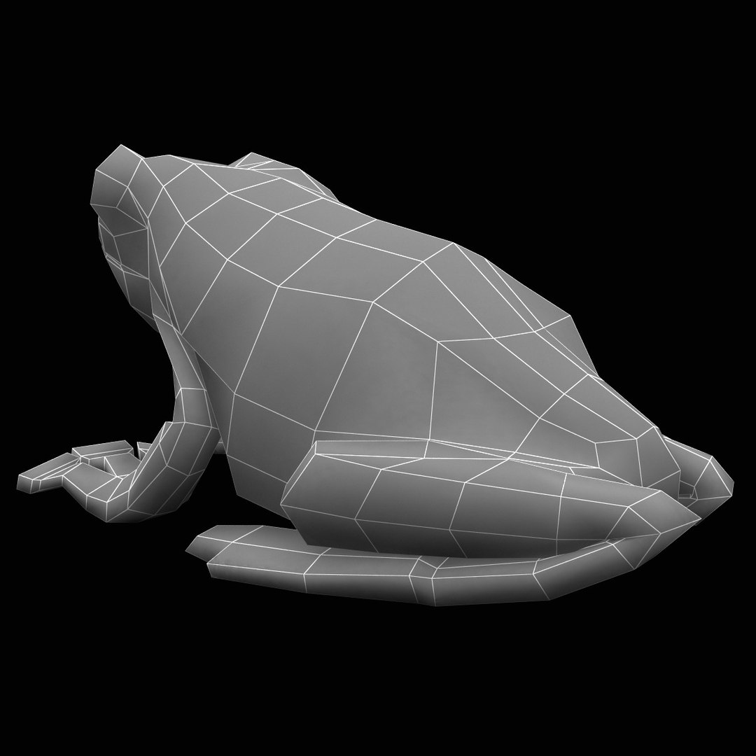 litoria caerulea green tree frog 3d model https://p.turbosquid.com/ts-thumb/gm/LbWj9c/lKiaEEQy/litoria_caerulea_015/jpg/1356042836/1920x1080/fit_q87/4f9f7cae2c3edfcb137ee95c928d9e6247840ee1/litoria_caerulea_015.jpg