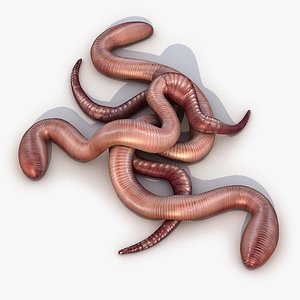 Earthworm 4