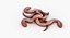 Earthworm 4