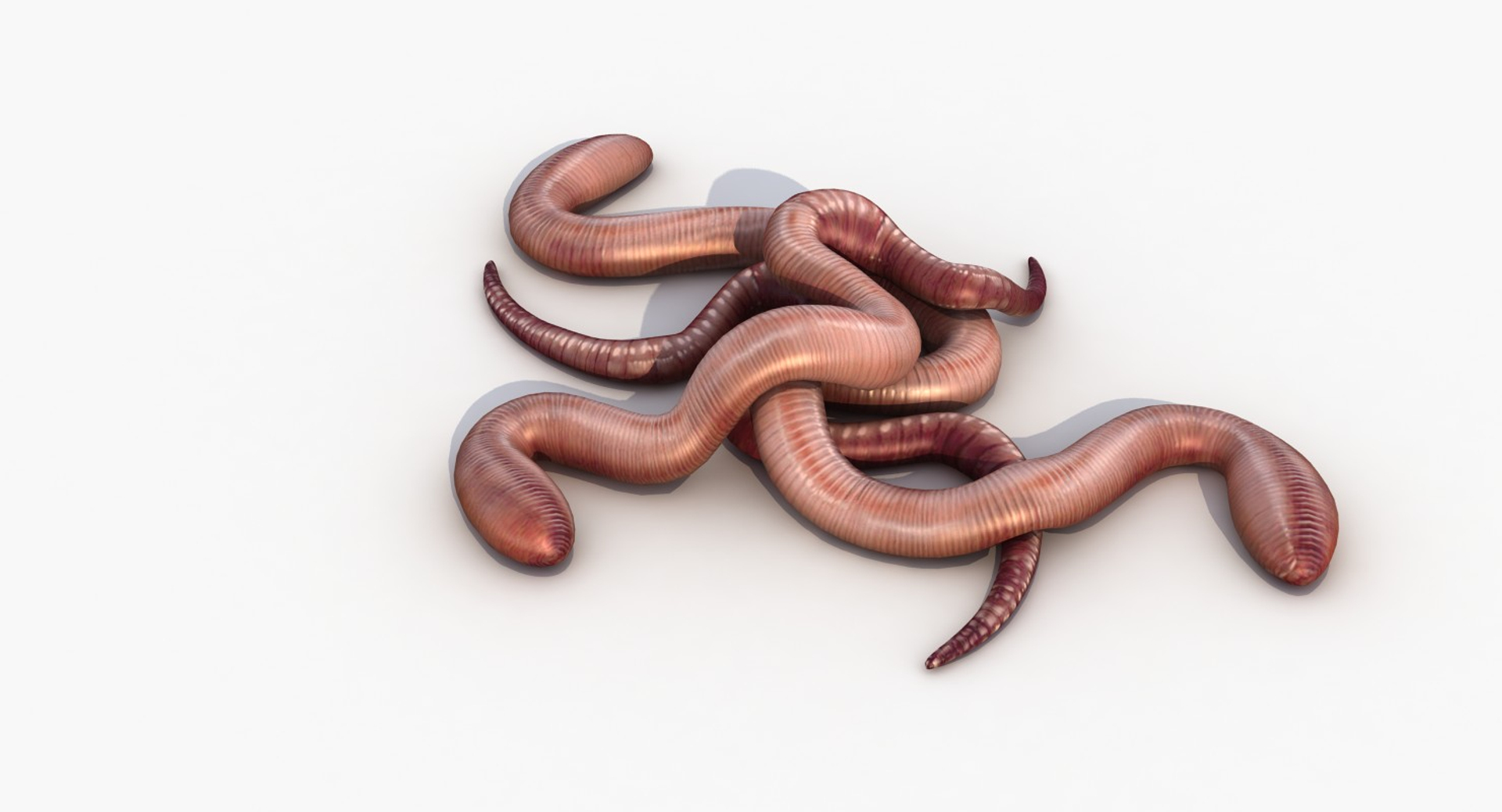 4 modeled 3D model https://p.turbosquid.com/ts-thumb/gm/Lvh7CO/AcllrqiX/0006/jpg/1554475062/1920x1080/turn_fit_q99/a4246936ae262c1e0e8bb630f0439f44bb86e3df/0006-1.jpg