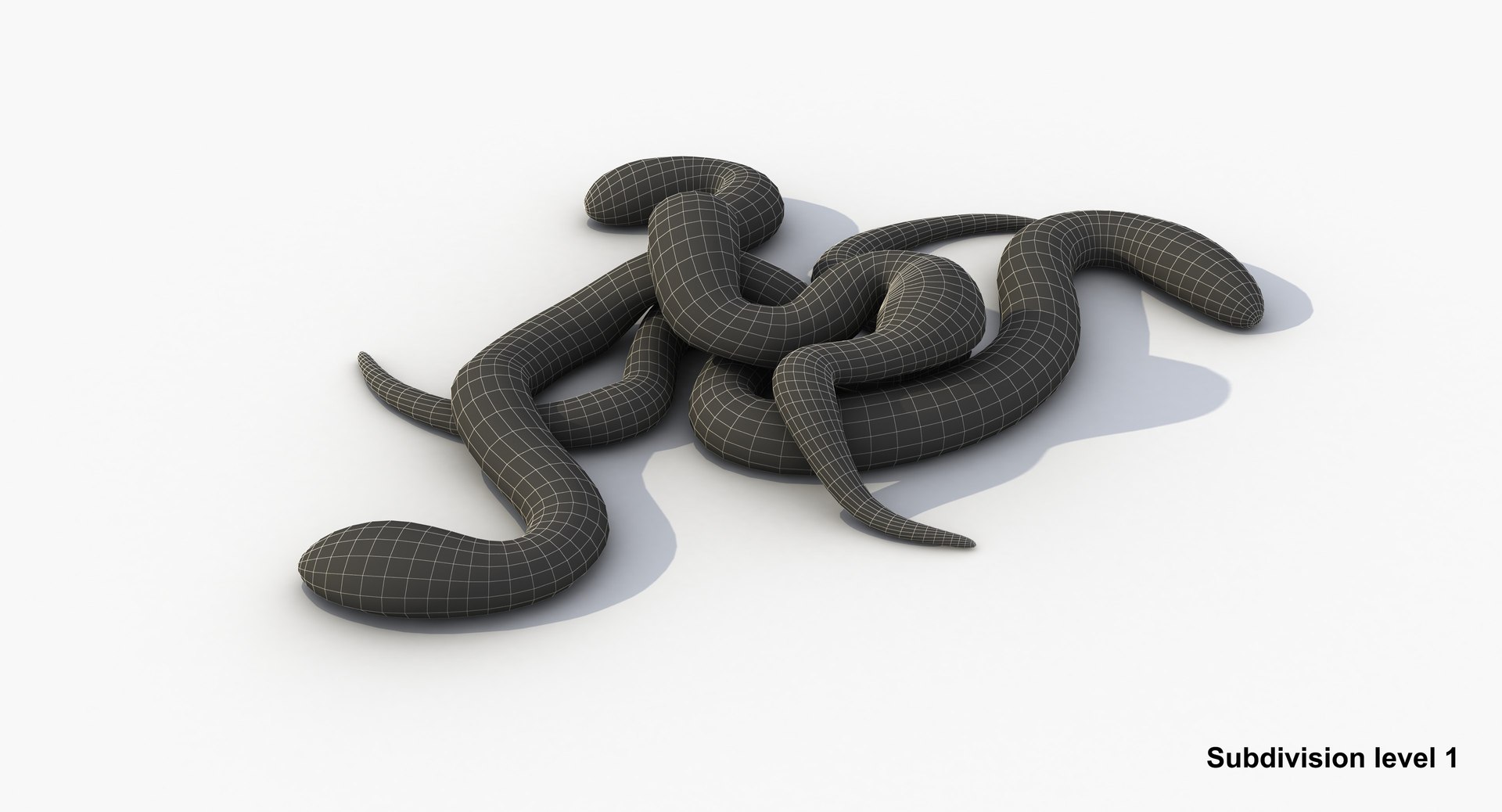 4 modeled 3D model https://p.turbosquid.com/ts-thumb/gm/Lvh7CO/HeaPfeE1/earthworm4_w1_0001/jpg/1554475427/1920x1080/fit_q87/43b85feb37b7bb6e2c34064f8d8237767a02e08d/earthworm4_w1_0001.jpg
