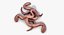 Earthworm 4
