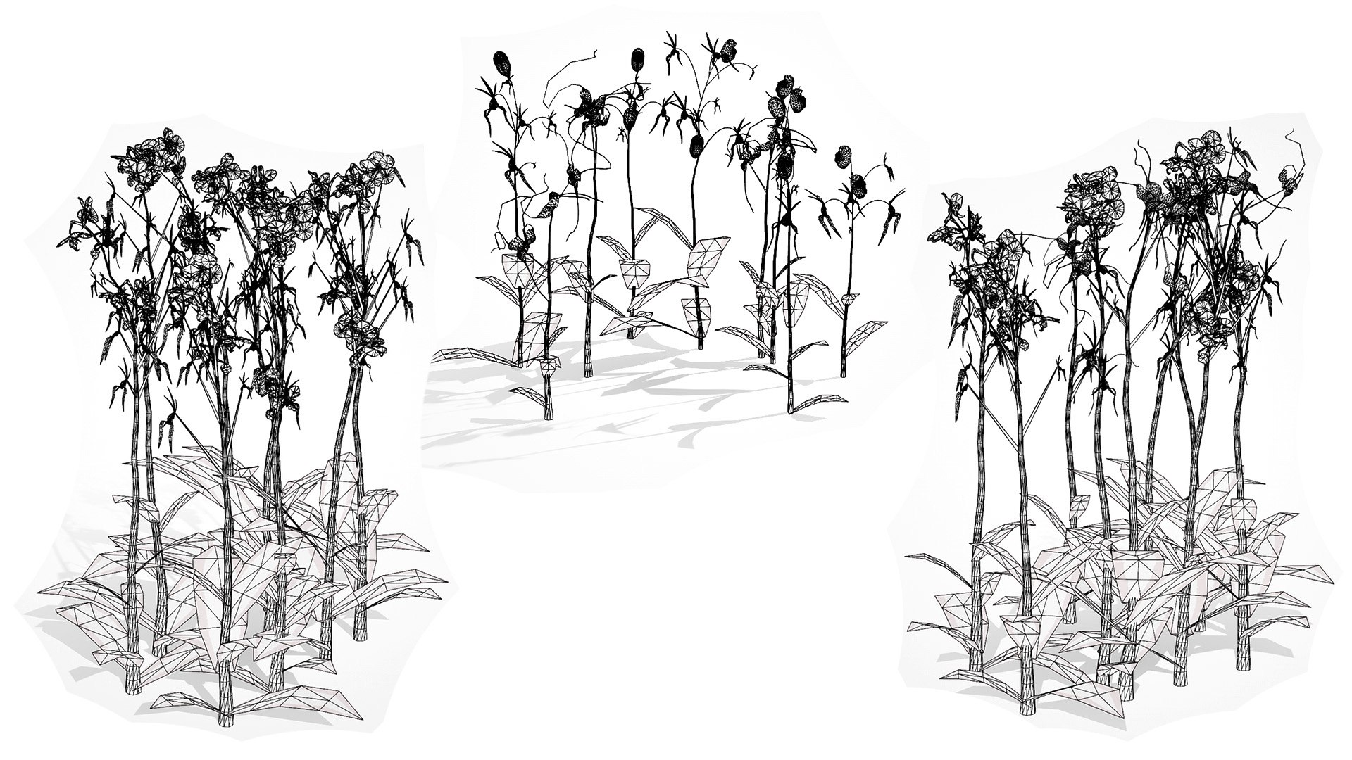 3D Elusive Ghost Orchid 3D Model https://p.turbosquid.com/ts-thumb/gm/YOpEPl/C8/wirel/jpg/1759862143/1920x1080/fit_q87/6716337d4c02055da0b4c058a2e8285120fb5731/wirel.jpg