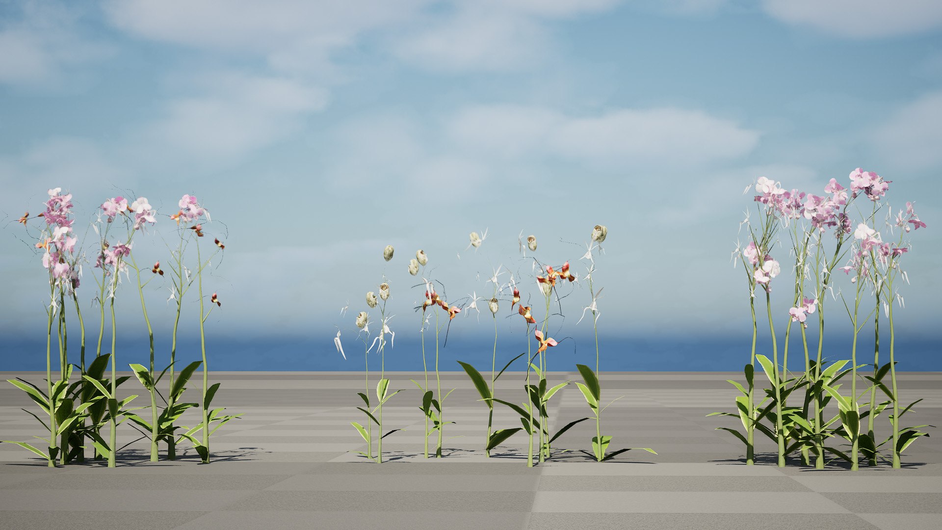 3D Elusive Ghost Orchid 3D Model https://p.turbosquid.com/ts-thumb/gm/YOpEPl/Ce/highresscreenshot00000/jpg/1759862139/1920x1080/fit_q87/03265f106bd538d0c237f9ebfff155b604c52937/highresscreenshot00000.jpg