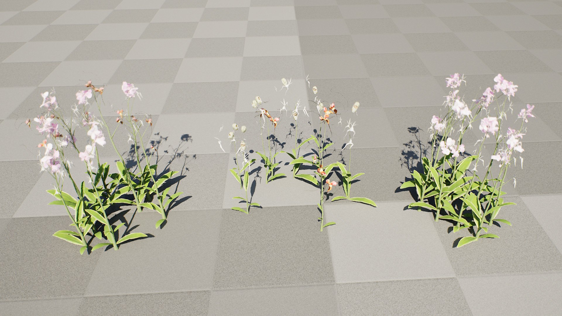 3D Elusive Ghost Orchid 3D Model https://p.turbosquid.com/ts-thumb/gm/YOpEPl/Ri/highresscreenshot00002/jpg/1759862141/1920x1080/fit_q87/be09759a74aba21da2256bb9a38f7a02df1bc763/highresscreenshot00002.jpg