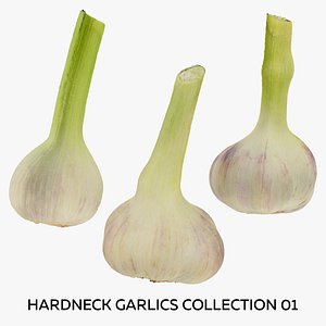 Hardneck Garlics Collection 01 - 3 models RAW Scans model