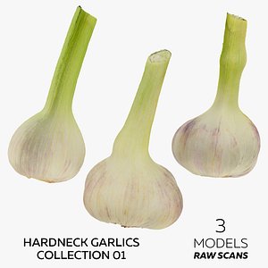 Hardneck Garlics Collection 01 - 3 models RAW Scans model