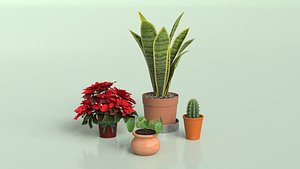 House Plants Bundle