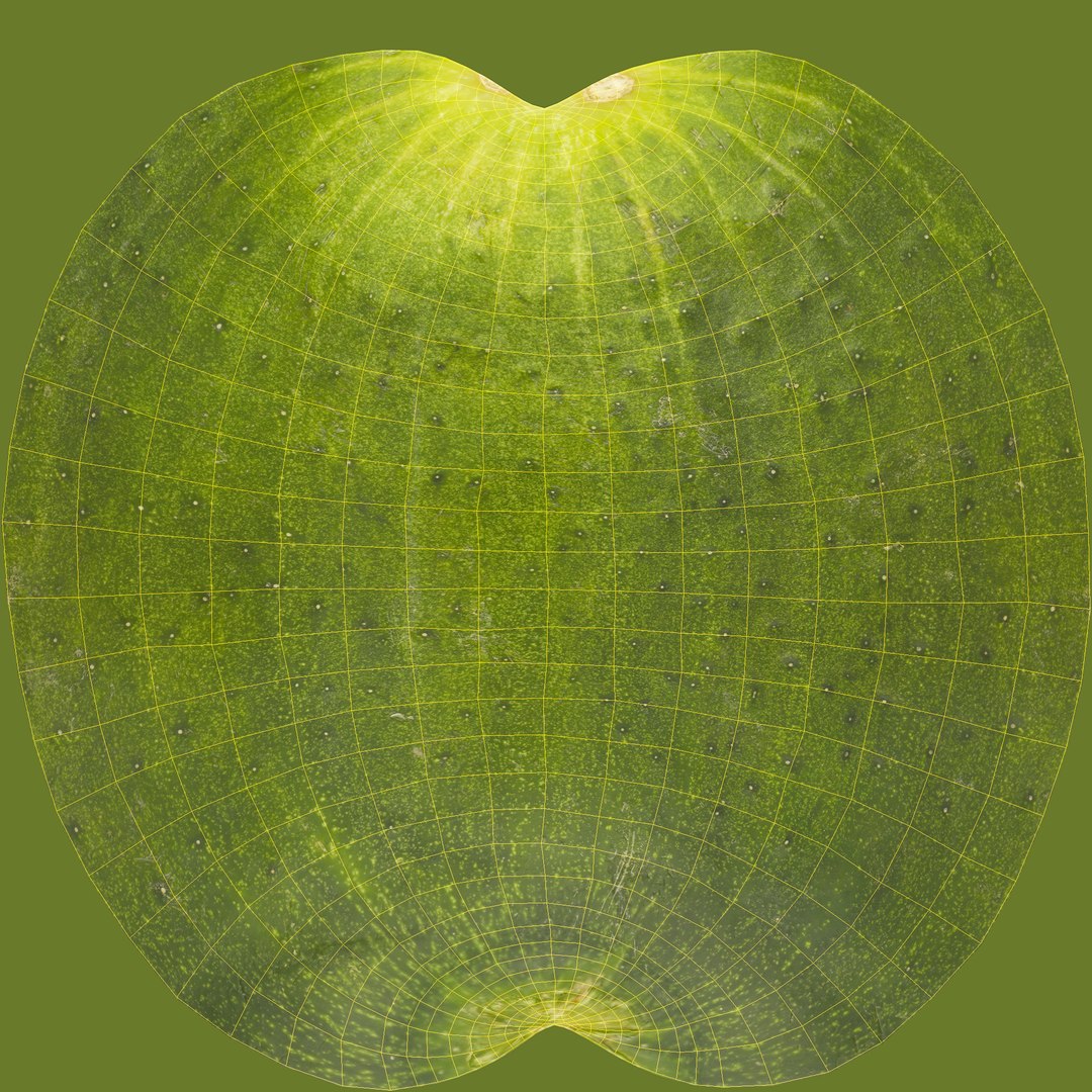 3D fruits vegetables https://p.turbosquid.com/ts-thumb/gm/wbsbQY/3BMw9oRe/unwrap/jpg/1573472575/1920x1080/fit_q87/bba77cc5f20448dd8fd351a27badb7cc1a78a43c/unwrap.jpg