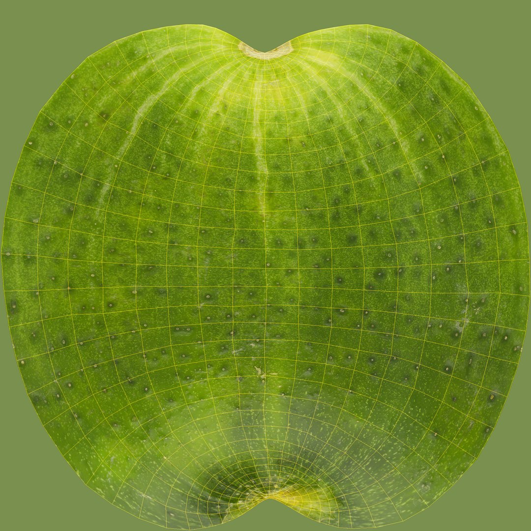 3D fruits vegetables https://p.turbosquid.com/ts-thumb/gm/wbsbQY/8yX9PpOP/unwrap/jpg/1573472566/1920x1080/fit_q87/9fba28aee0c1a9ebd8be5579b71eec8f93437c97/unwrap.jpg