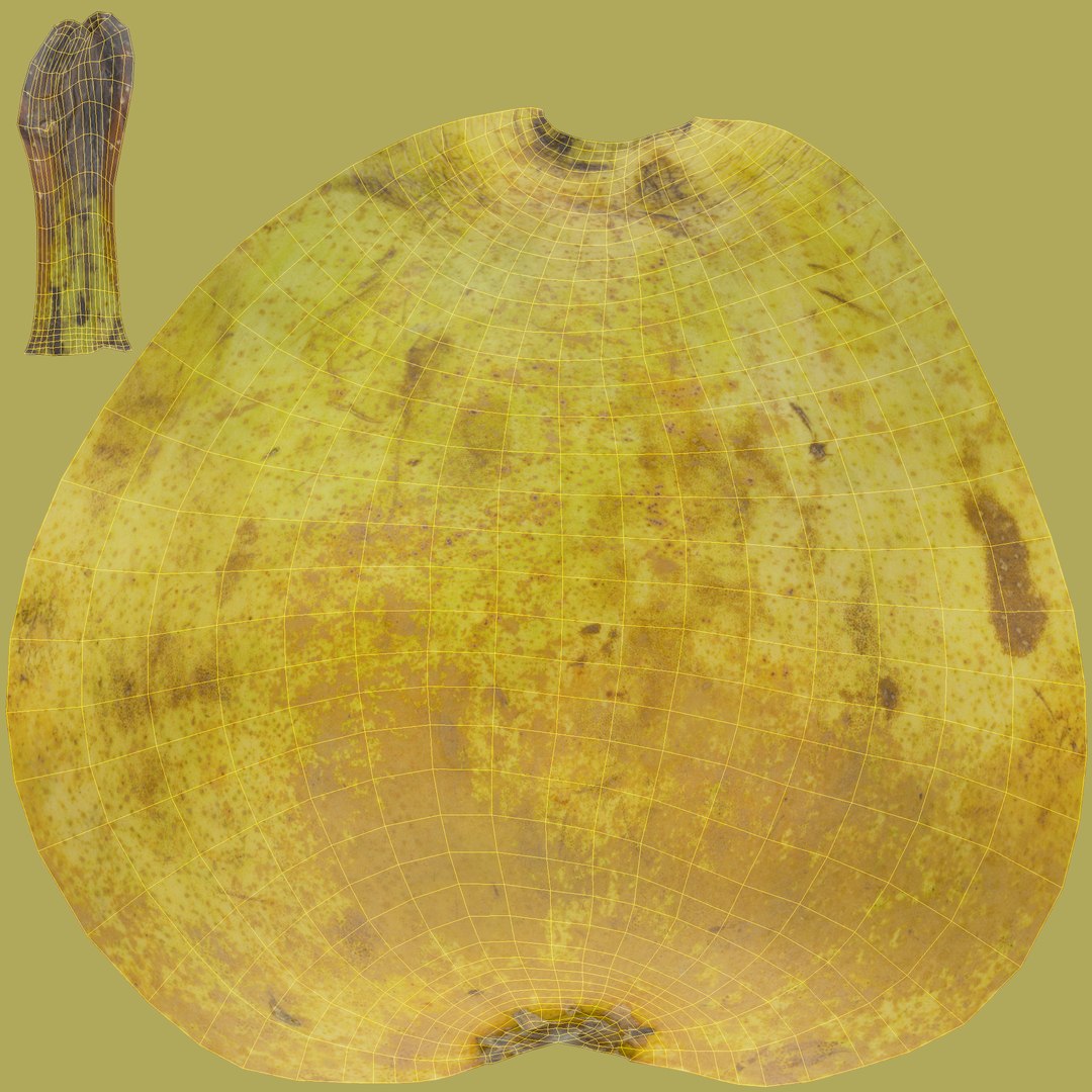 3D fruits vegetables https://p.turbosquid.com/ts-thumb/gm/wbsbQY/JwvPM0pm/unwrap/jpg/1573472731/1920x1080/fit_q87/9dff710dea853af0e5069c8796a1848f80aac28e/unwrap.jpg