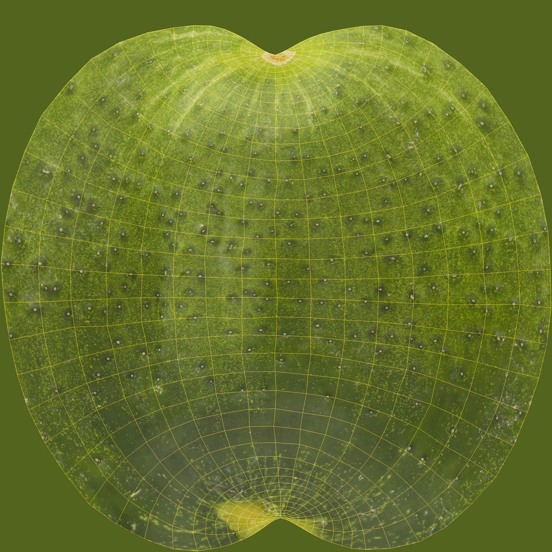 3D fruits vegetables https://p.turbosquid.com/ts-thumb/gm/wbsbQY/U5WR1QeI/unwrap/jpg/1573472583/1920x1080/fit_q87/9b3aa20c2926e271d60678e9208b915dc768b735/unwrap.jpg
