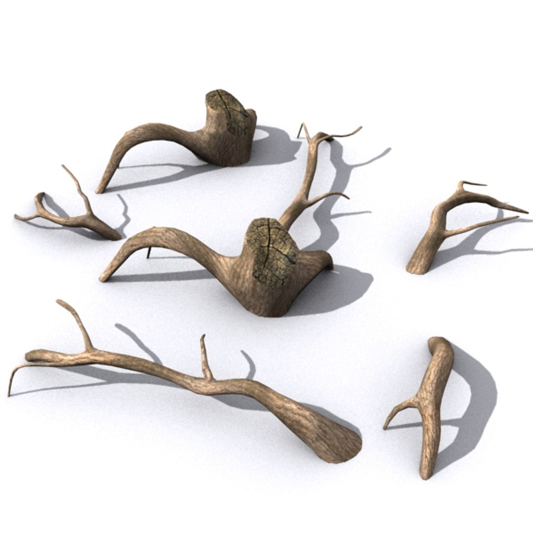 Коряга арт. Дрифтвуд коряги. Коряга 3d model. Коряга 3. Коряга 3.