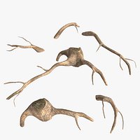 Tree Roots Driftwood 3