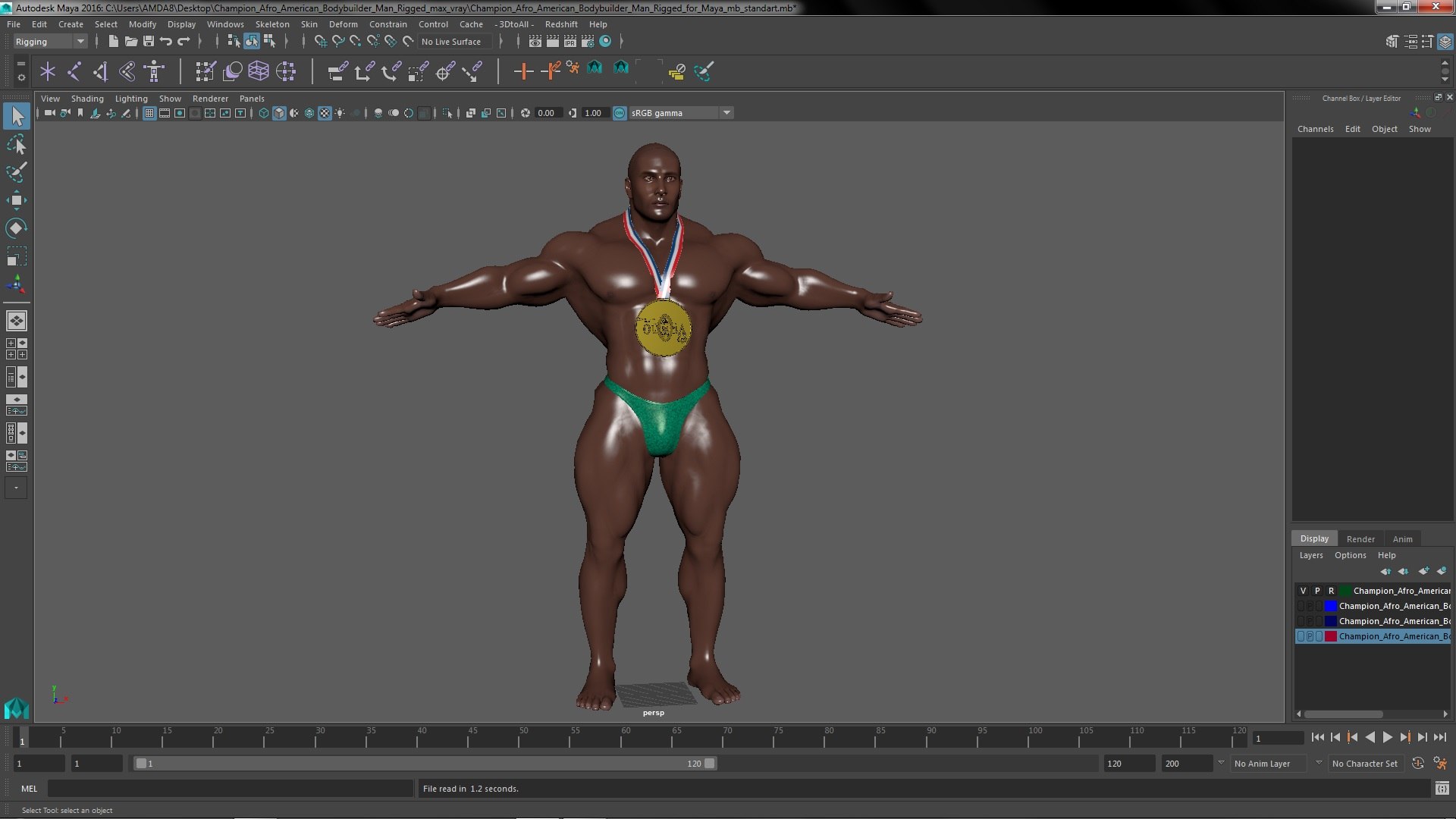 3D Champion Afro American Bodybuilder Man Rigged for Maya https://p.turbosquid.com/ts-thumb/gn/613zsf/WD/championafroamericanbodybuildermanriggedformaya3dmodel054/jpg/1681896288/1920x1080/fit_q87/28071b4768deec29a82516d93e72e4bf1393798f/championafroamericanbodybuildermanriggedformaya3dmodel054.jpg