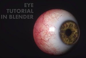 Human eye