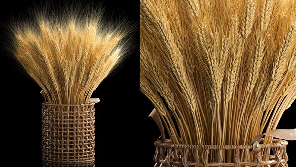 Modello 3D Mazzo decorativo di spighe di grano in vaso per