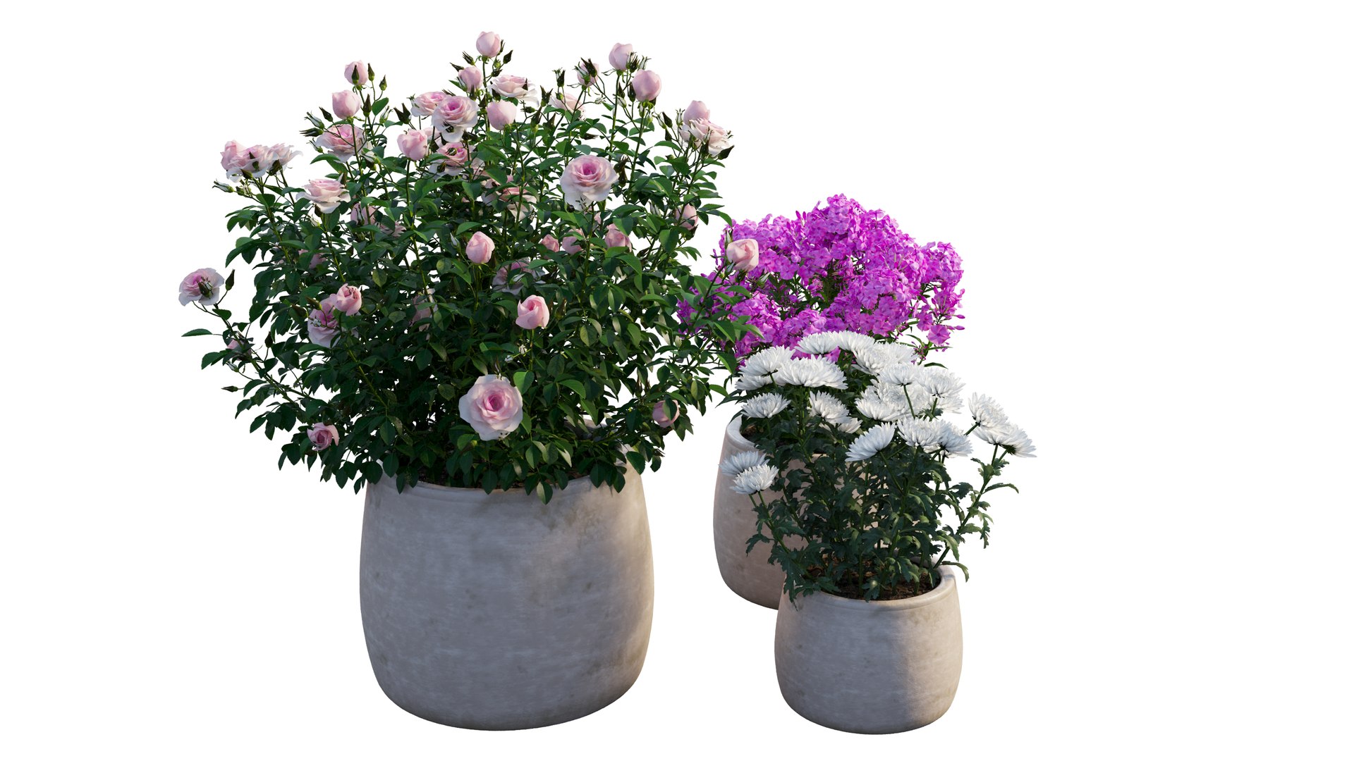 grow flowers pots rose 3D model https://p.turbosquid.com/ts-thumb/gn/WbRig1/CY9wF0xx/2_interactivelightmix/png/1603699128/1920x1080/fit_q87/93f4c529a5f295acb88275b67c45173b55a6d0f7/2_interactivelightmix.jpg