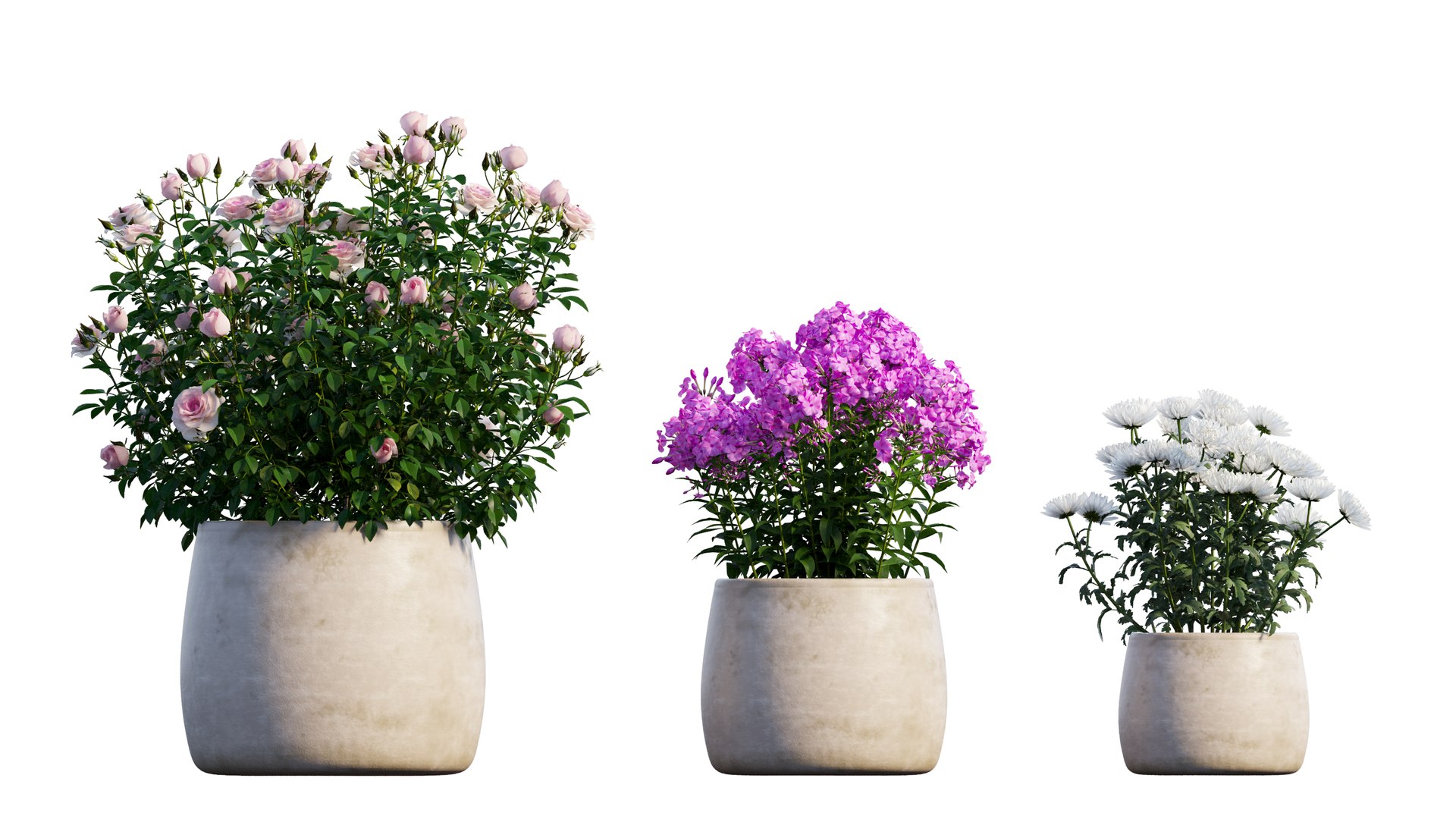 grow flowers pots rose 3D model https://p.turbosquid.com/ts-thumb/gn/WbRig1/EY9iF2HB/8_interactivelightmix/png/1603699133/1920x1080/fit_q87/53471c70dc0854e10b42b5acbb2e9f7950e6191a/8_interactivelightmix.jpg