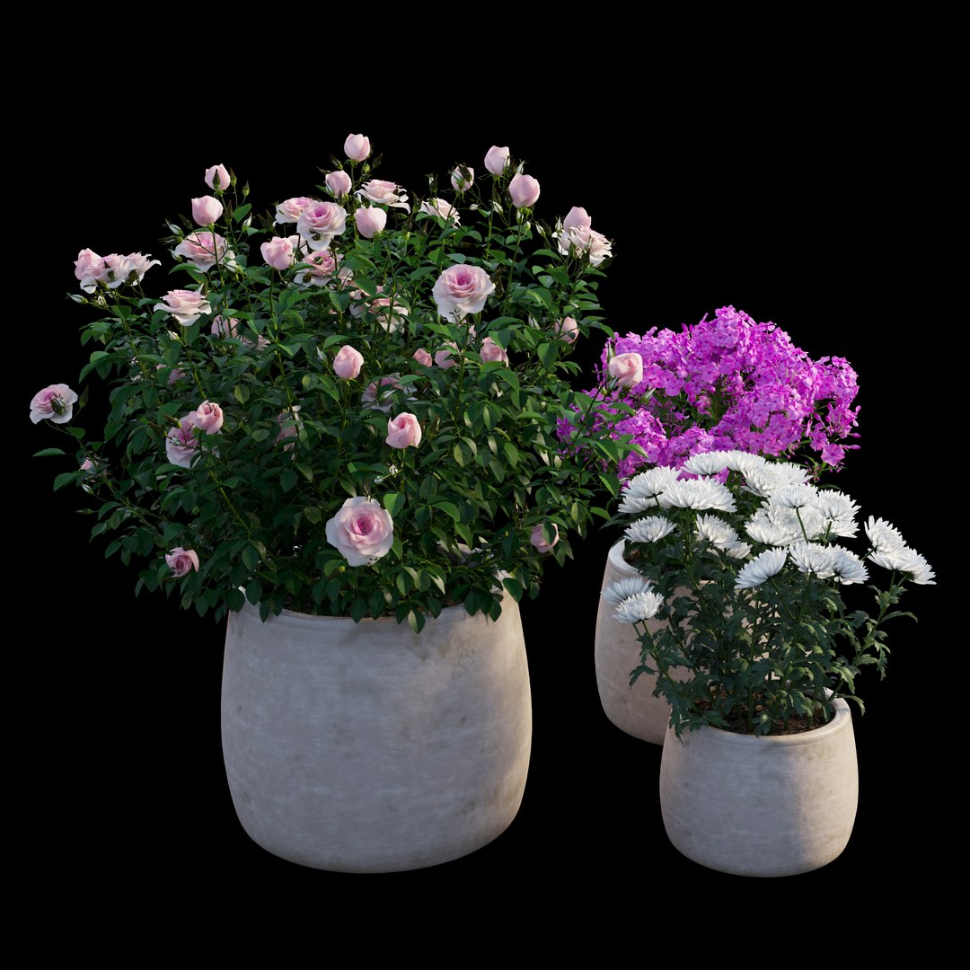 grow flowers pots rose 3D model https://p.turbosquid.com/ts-thumb/gn/WbRig1/HT7nV9T6/view01/jpg/1588592345/1920x1080/fit_q87/b71975f84f6650199ddd6747b3ea25ac5e84ee82/view01.jpg