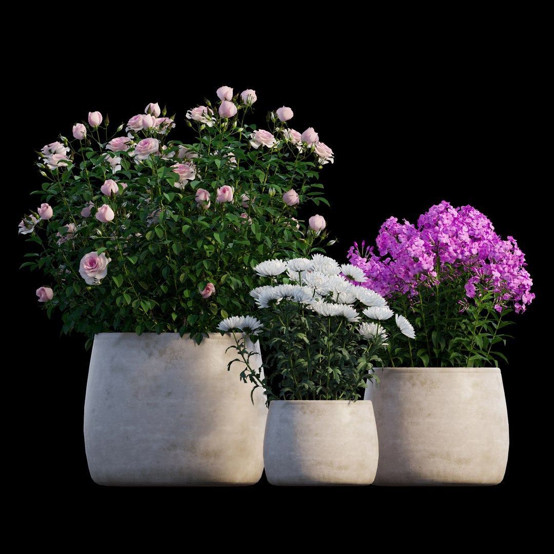 grow flowers pots rose 3D model https://p.turbosquid.com/ts-thumb/gn/WbRig1/JueCNuDT/view03/jpg/1588592345/1920x1080/fit_q87/37cd724a280c0979f54e2475675ff4bb1b1e5024/view03.jpg