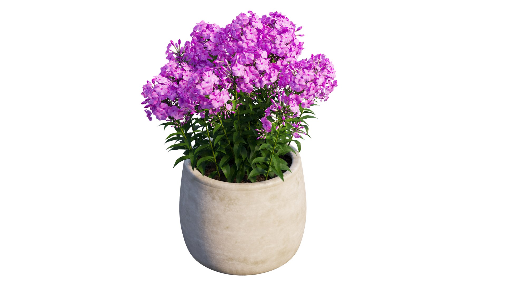 grow flowers pots rose 3D model https://p.turbosquid.com/ts-thumb/gn/WbRig1/QUYZ6JSt/10_interactivelightmix/png/1603699133/1920x1080/fit_q87/9ef49562833d7626963f5f736335dbf08d15da2c/10_interactivelightmix.jpg