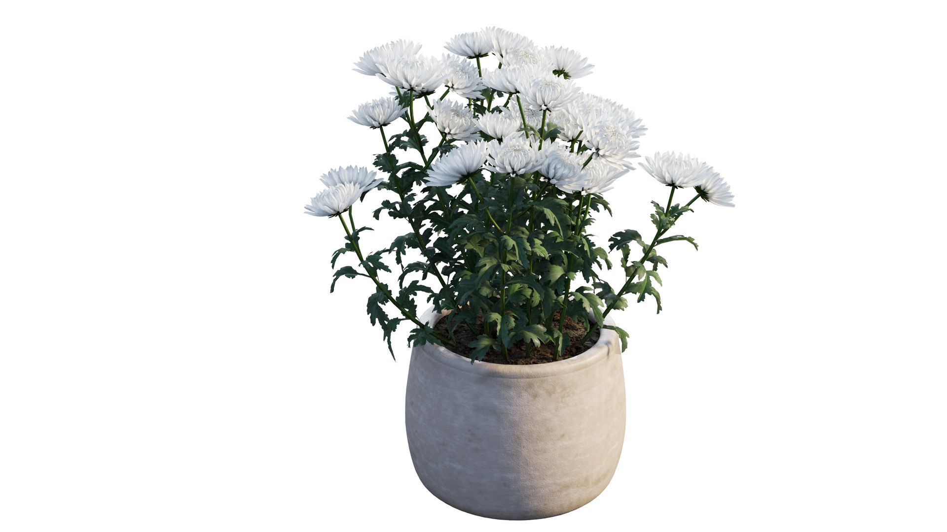 grow flowers pots rose 3D model https://p.turbosquid.com/ts-thumb/gn/WbRig1/ROaaME79/11_interactivelightmix/png/1603699134/1920x1080/fit_q87/d921117c4fa1efd61cb221886a0e68c21a561a38/11_interactivelightmix.jpg