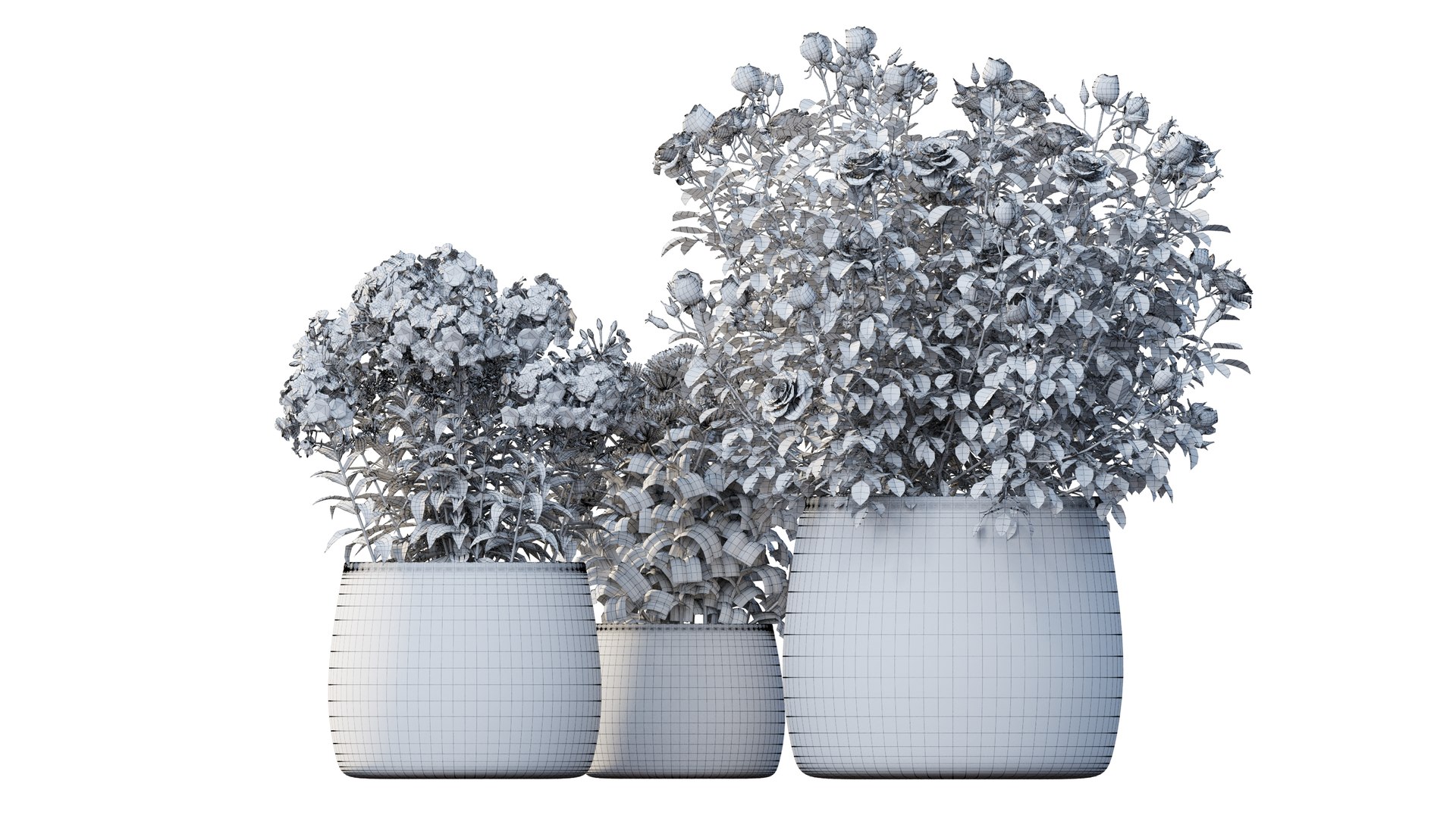 grow flowers pots rose 3D model https://p.turbosquid.com/ts-thumb/gn/WbRig1/UG92cXUl/7_interactivelightmix/png/1603699130/1920x1080/fit_q87/96271d6484dbfdb930c0fbbab4f743e064f738d5/7_interactivelightmix.jpg