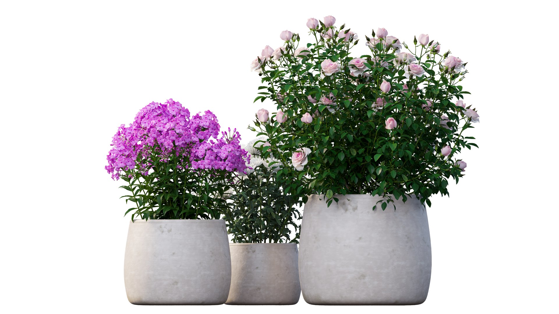 grow flowers pots rose 3D model https://p.turbosquid.com/ts-thumb/gn/WbRig1/YlOFjEmf/3_interactivelightmix/png/1603699131/1920x1080/fit_q87/32c6e0edc19d5ef2a9eb1433d79f843e93e2d70f/3_interactivelightmix.jpg