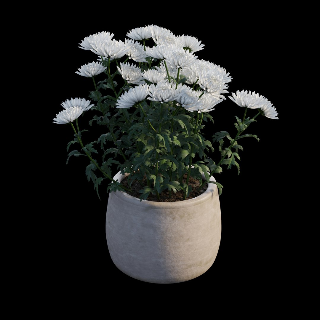 grow flowers pots rose 3D model https://p.turbosquid.com/ts-thumb/gn/WbRig1/dISzMgrZ/view07/jpg/1588592345/1920x1080/fit_q87/59cee460f112cdf0372764fb3741318a87dde8c1/view07.jpg