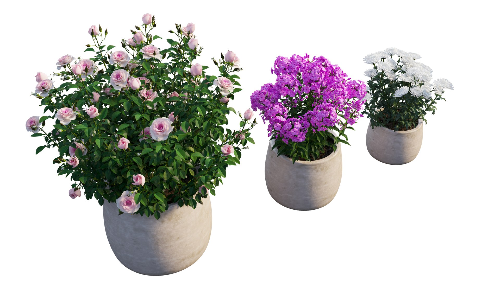 grow flowers pots rose 3D model https://p.turbosquid.com/ts-thumb/gn/WbRig1/kr0UiPgx/12_interactivelightmix/png/1603699137/1920x1080/fit_q87/8679b831a7ff57058b8e1989e8fb430e821b2c01/12_interactivelightmix.jpg