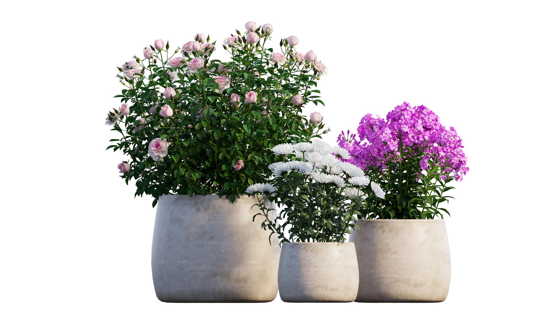 grow flowers pots rose 3D model https://p.turbosquid.com/ts-thumb/gn/WbRig1/mt3COrll/1_interactivelightmix/png/1603699129/1920x1080/fit_q87/1964576b807f4ffa150f6b583b4a63e689a89333/1_interactivelightmix.jpg