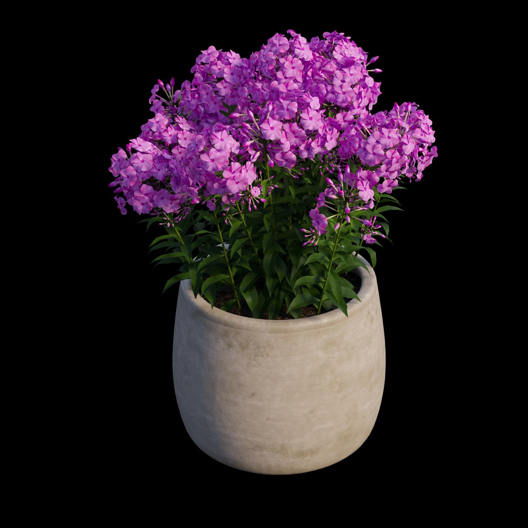 grow flowers pots rose 3D model https://p.turbosquid.com/ts-thumb/gn/WbRig1/nknoBGCi/view06/jpg/1588592345/1920x1080/fit_q87/5277d63a90b68ce1a17461e22943ac34c7d45aad/view06.jpg
