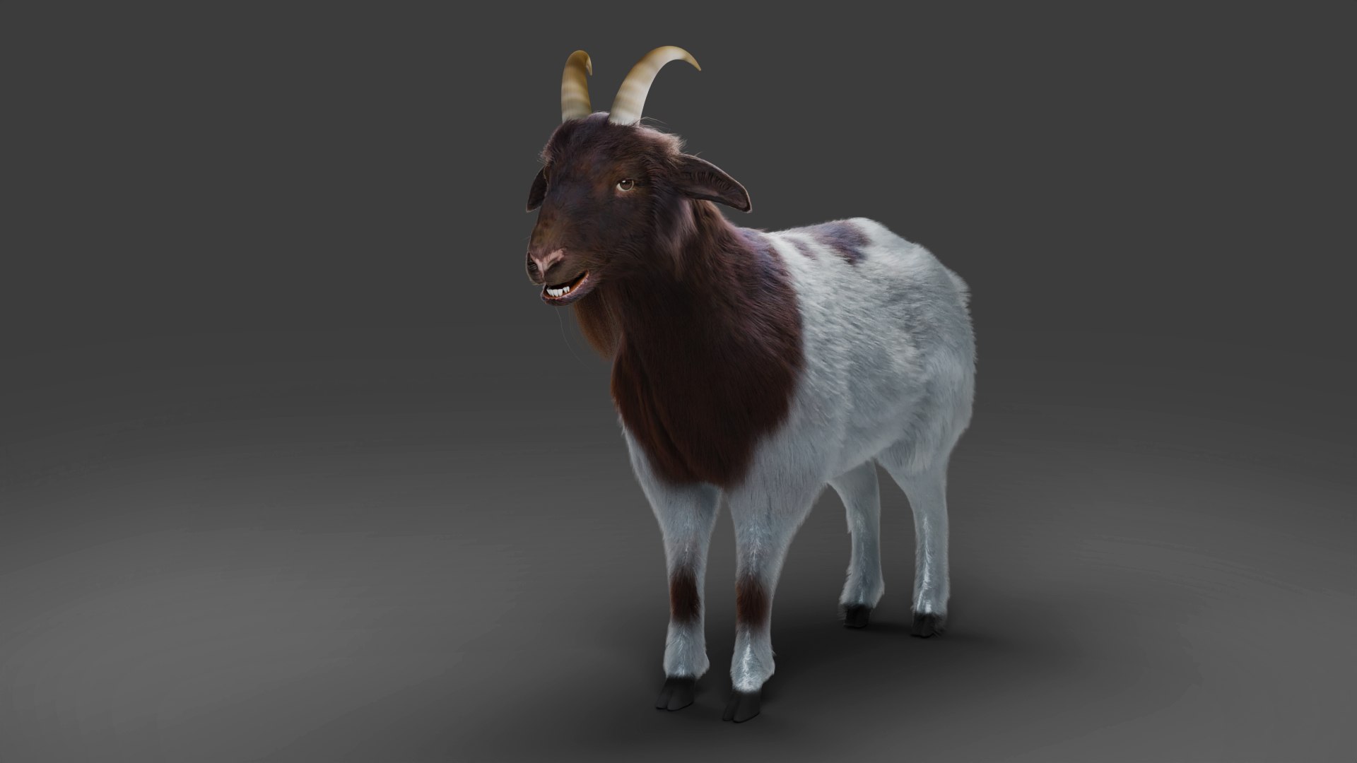 Fur Goat 03 Rigged and Animation in Blender 3D model https://p.turbosquid.com/ts-thumb/gn/XMfbSJ/D2/08/jpg/1672063255/1920x1080/fit_q87/ea4d3dfbae1bbbee840663e72ac791dc53677cfe/08.jpg