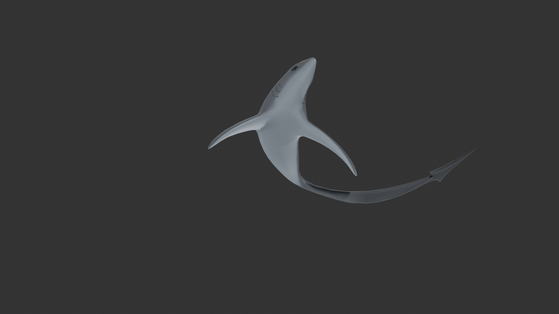 SHARK WITH LONG TAIL 3D Model - TurboSquid 2184926