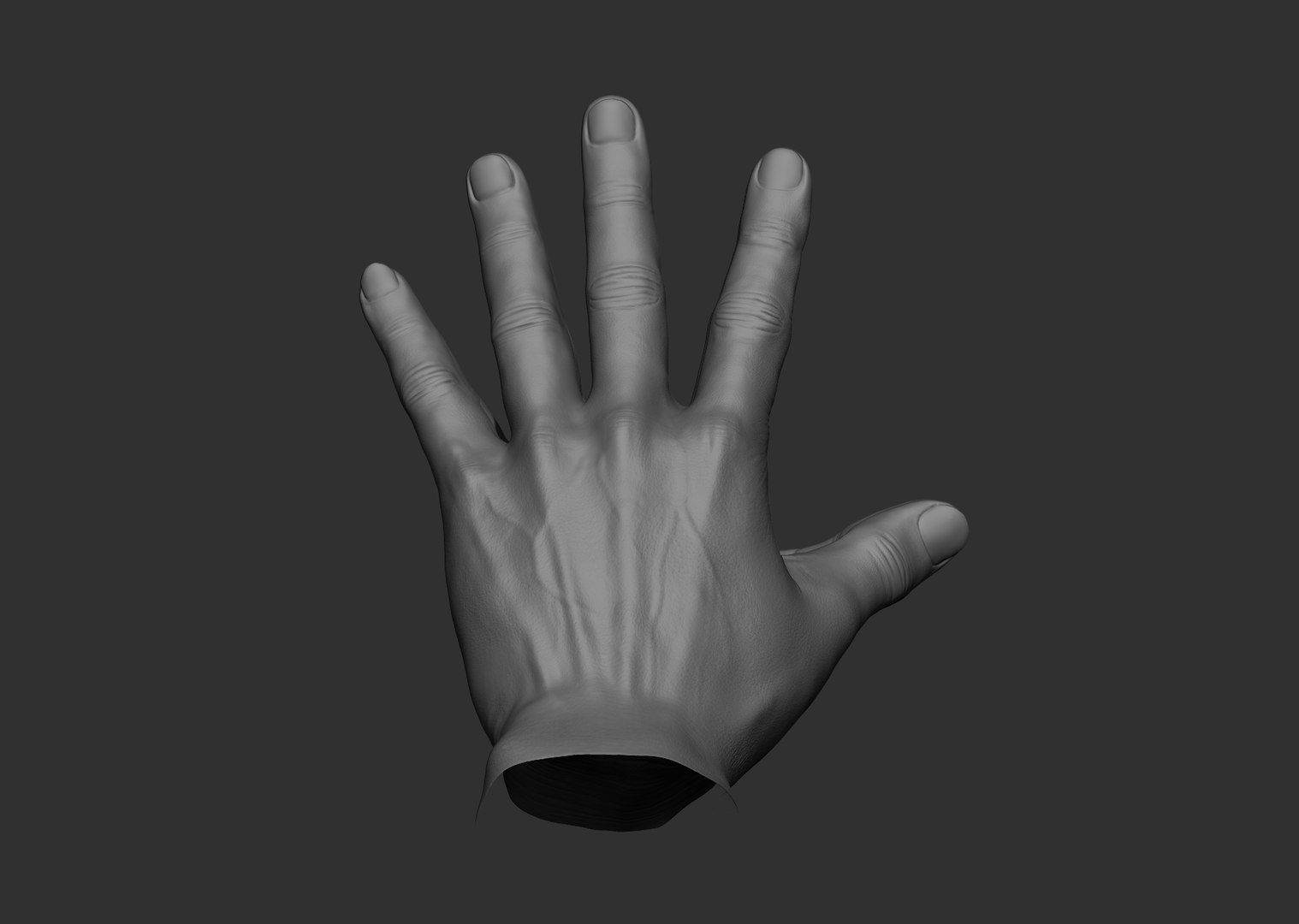 12 Male hand poses 3D model https://p.turbosquid.com/ts-thumb/gn/qJxuAh/uy/75/jpg/1632000864/1920x1080/fit_q87/d22758f279e3243dc3e7b16b24e83273eb3f0ea0/75.jpg