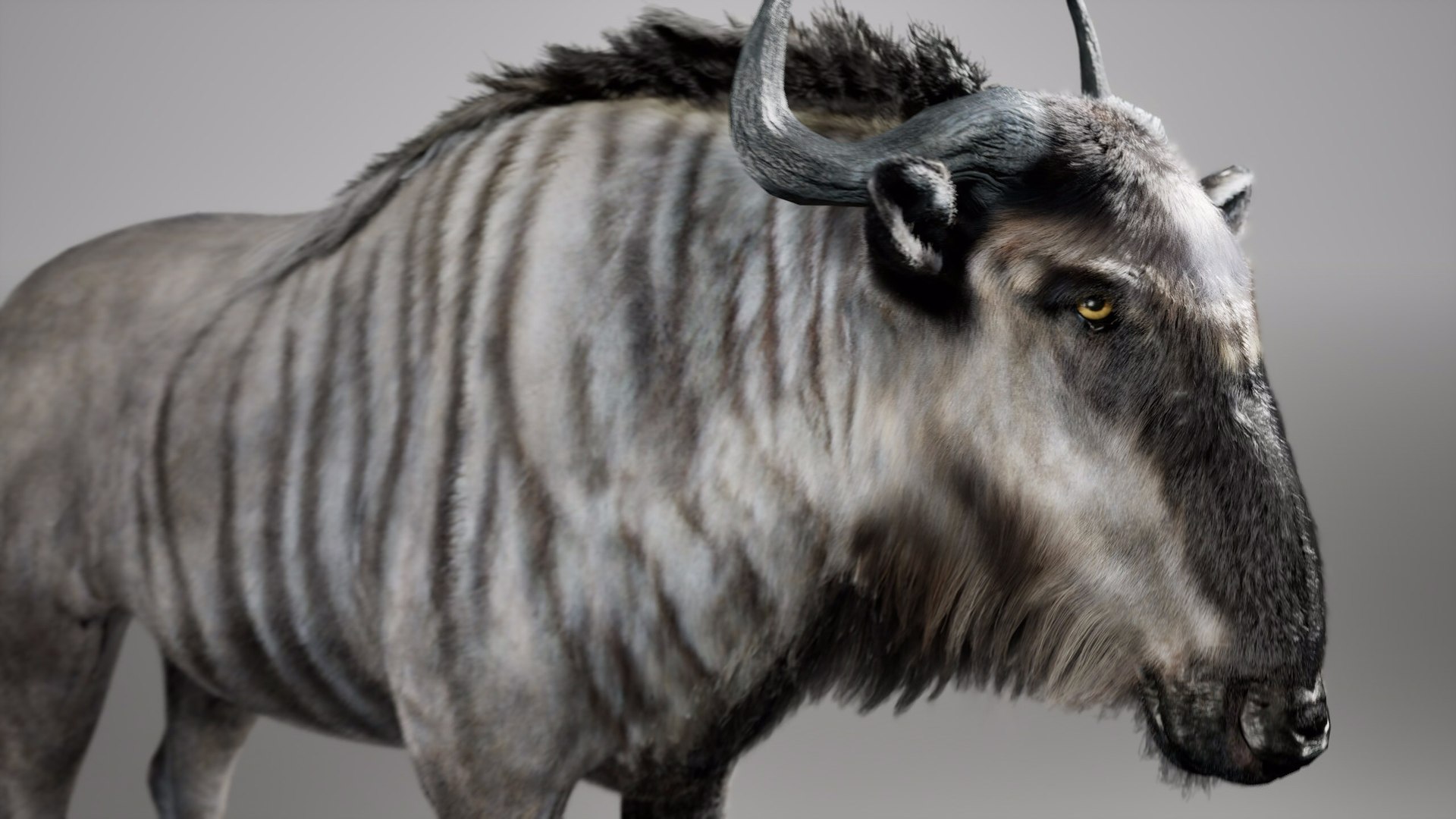 Wildebeest RIG UNREAL project 3D model https://p.turbosquid.com/ts-thumb/gn/qT8Sh0/4R/03/jpg/1729048777/1920x1080/fit_q87/b74a0f76a8934709d3303c823e4ff37185da8c8b/03.jpg