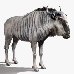 Wildebeest RIG UNREAL project 3D model