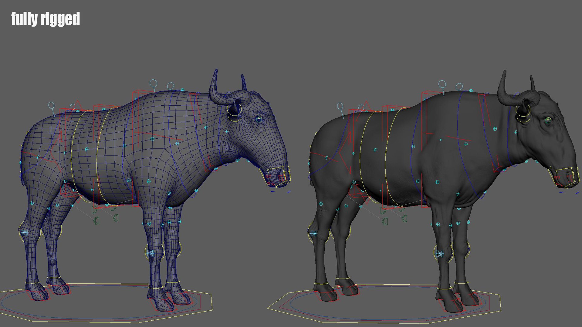 Wildebeest RIG UNREAL project 3D model https://p.turbosquid.com/ts-thumb/gn/qT8Sh0/x8/rig01/jpg/1729048688/1920x1080/fit_q87/1a809ae9635511a6d1a2d0d432847db66375b12c/rig01.jpg