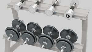 gym 3D model