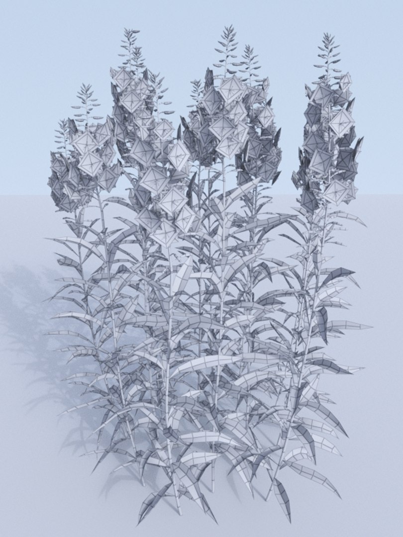 fireweed chamaenerion angustifolium 3D model https://p.turbosquid.com/ts-thumb/gn/zVyMRA/94ZSRcFO/chamaenerion_wire_.rgb_color.0004/jpg/1562671910/1920x1080/fit_q87/7d7423eb9a1b66361586459b8c17ef0d59cec09c/chamaenerion_wire_.rgb_color.0004.jpg
