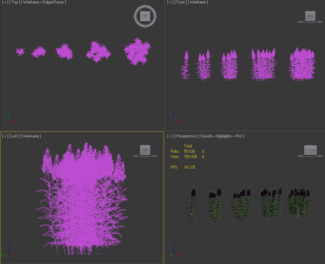 fireweed chamaenerion angustifolium 3D model https://p.turbosquid.com/ts-thumb/gn/zVyMRA/lASoHUeb/chamaenerion_wire/jpg/1562671910/1920x1080/fit_q87/35dc4b0a1d344eaf89a70cbee28bd59a3c47c6bc/chamaenerion_wire.jpg