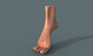 foot leg man 3D