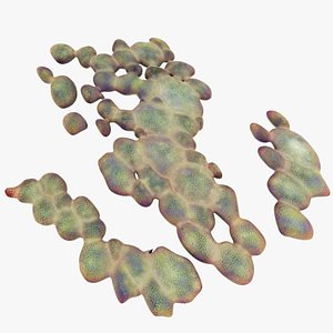 3dsmax organically salivary gland mucous