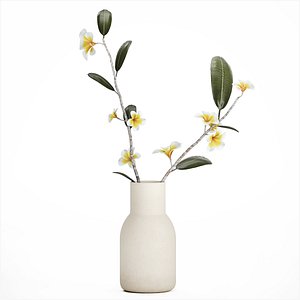 3D exotic bouquet of branches Plumeria frangipani in a vase 538