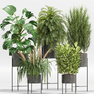 3D indoor Plant Set 013