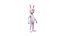 Cartoon Rabbit Bunny Rigged 3D model