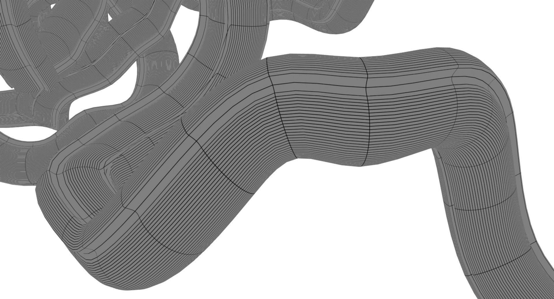 treponema pallidum syphilis bacteria 3D https://p.turbosquid.com/ts-thumb/go/UeJiyu/7gVzd9Dy/treponemawirframe/png/1528373074/1920x1080/fit_q87/8b4bfe4be255038139c58c87b97b53ba4b08877d/treponemawirframe.jpg