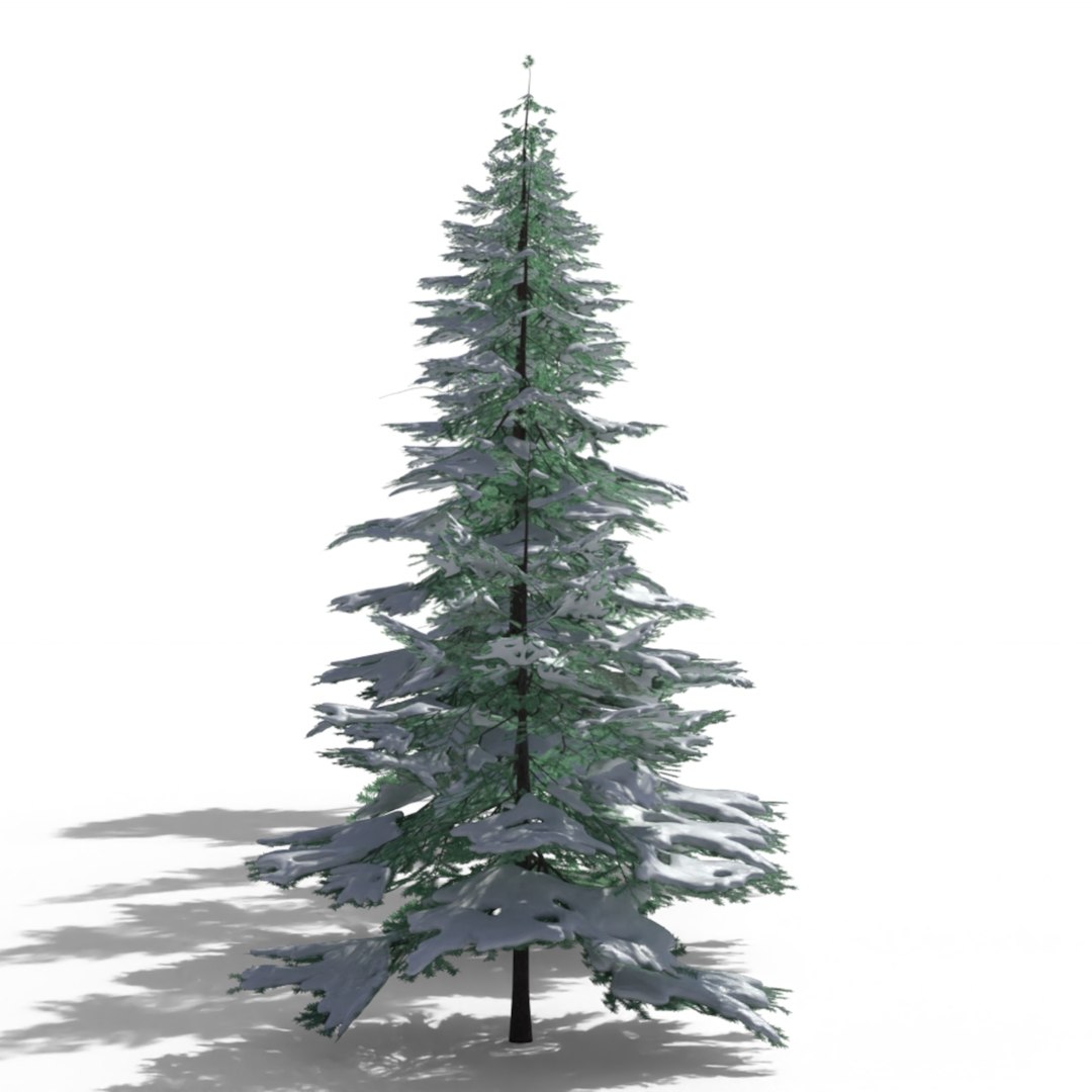 Low Poly Snowy Spruce Tree Pack 3D - TurboSquid 2185527