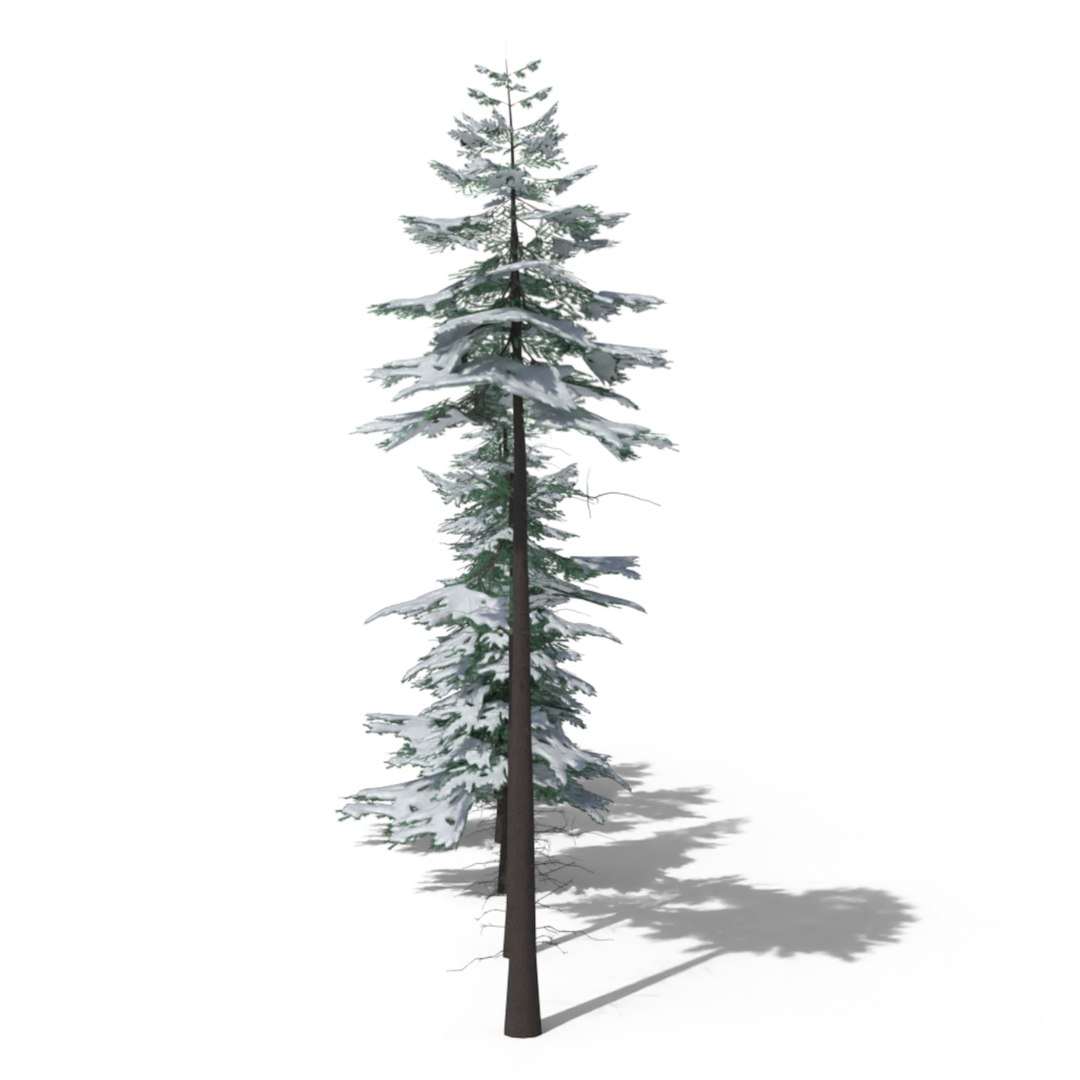 Low Poly Snowy Spruce Tree Pack 3D - TurboSquid 2185527